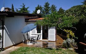 Palme Apartment